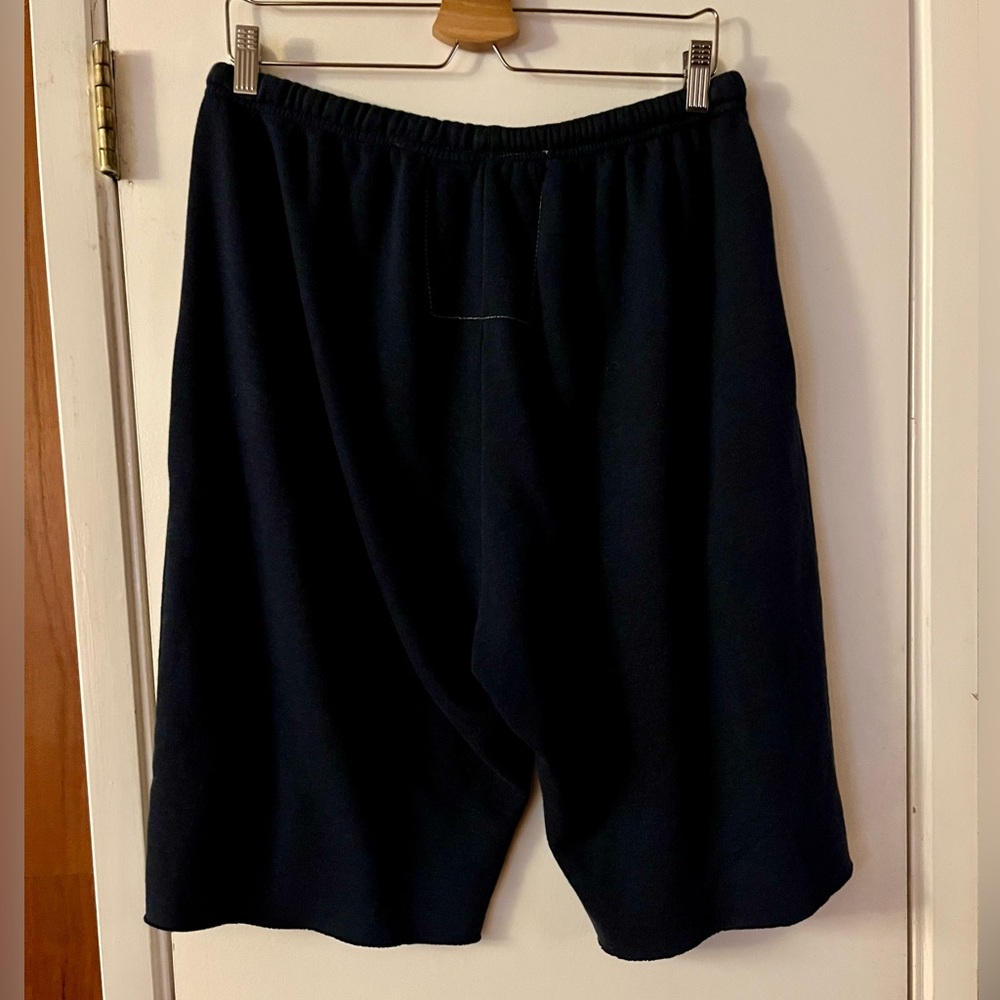 Aviator Nation Venice Shorts - Picture 3 of 4